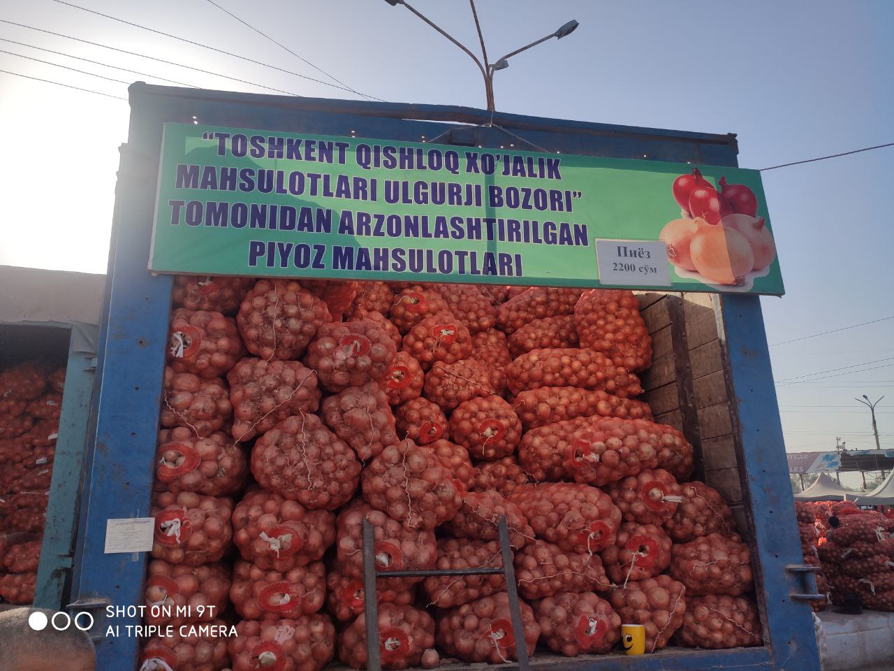 photo 2022 09 07 13 45 57