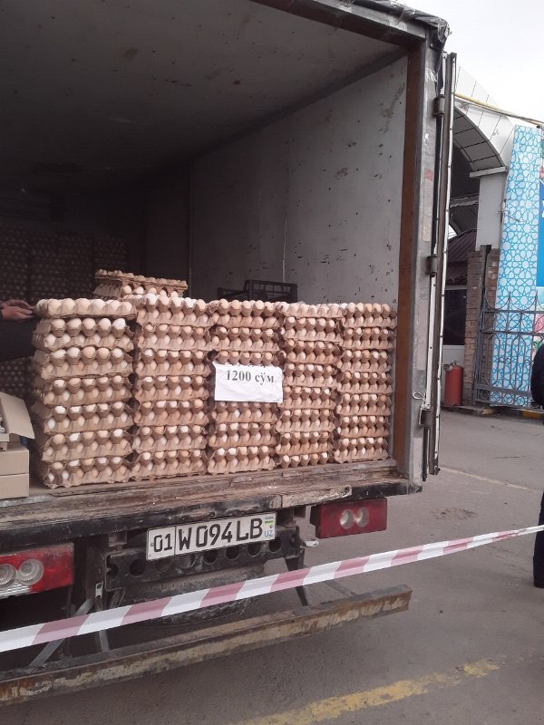 photo 2023 02 13 11 54 37